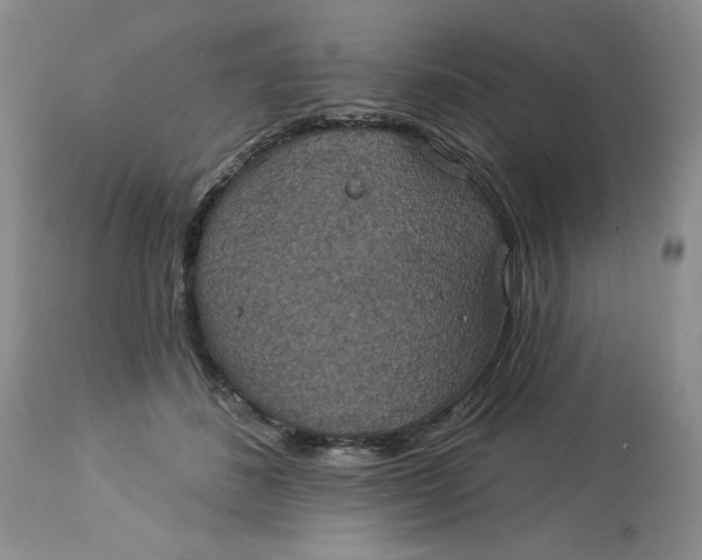 X0000113230508200910011413