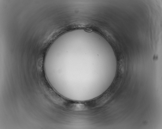 X0000113230509200910011413