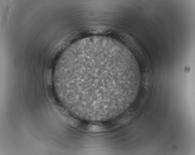 X0000113230510200910011413