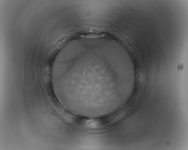 X0000113230511200910011413