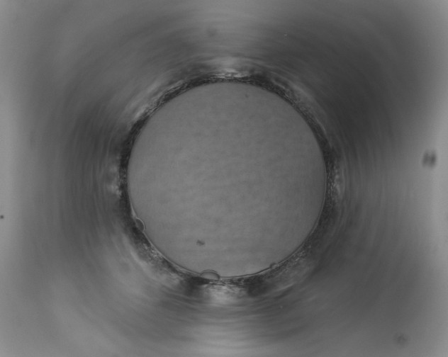 X0000113230512200910011413