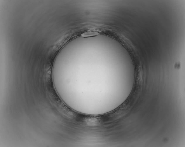 X0000113230513200910011413