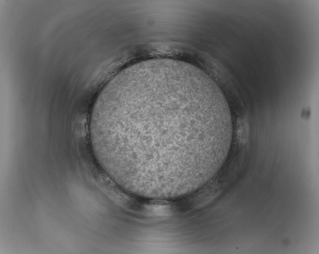 X0000113230514200910011413