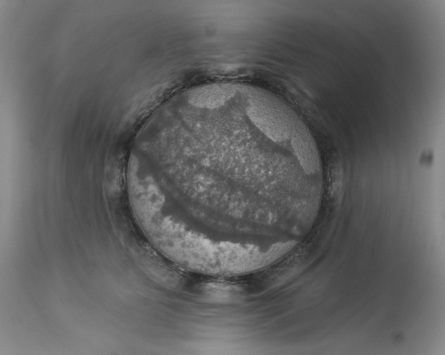 X0000113230515200910011413