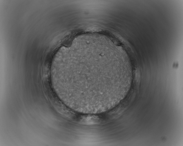 X0000113230517200910011413