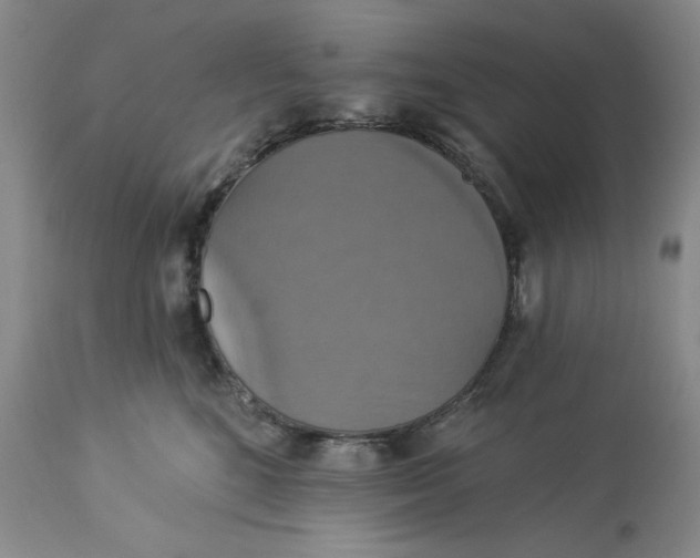 X0000113230520200910011412