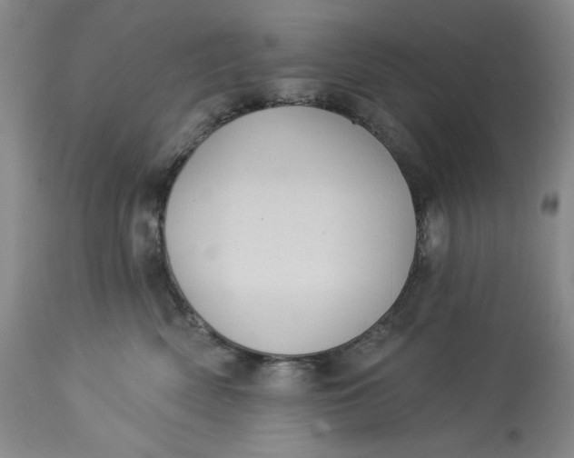 X0000113230522200910011412