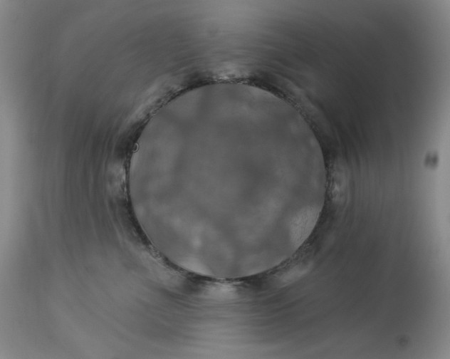 X0000113230523200910011412