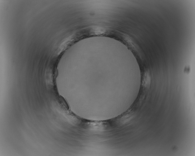 X0000113230524200910011412