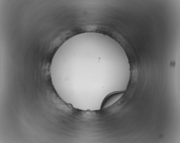 X0000113230525200910011412