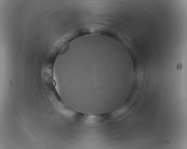 X0000113230527200910011412