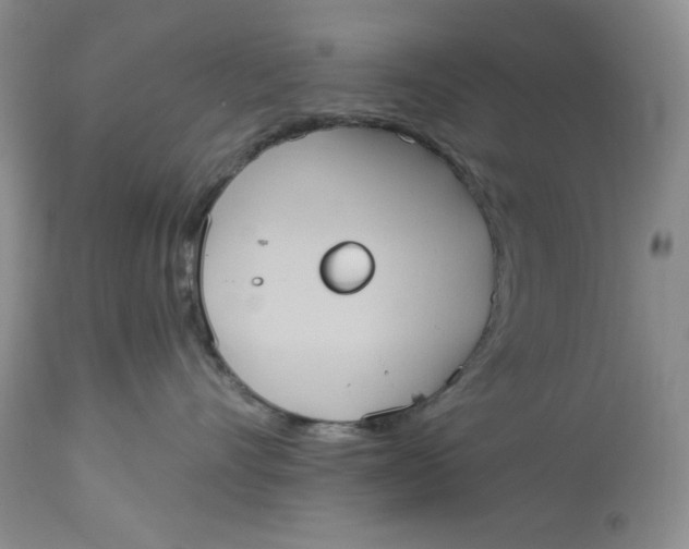 X0000113230528200910011412