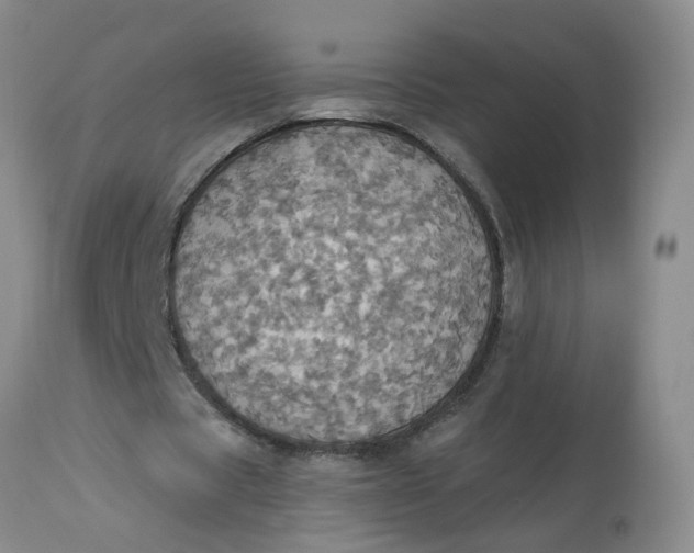 X0000113230529200910011411