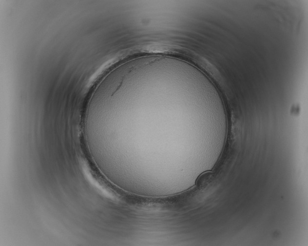 X0000113230530200910011411