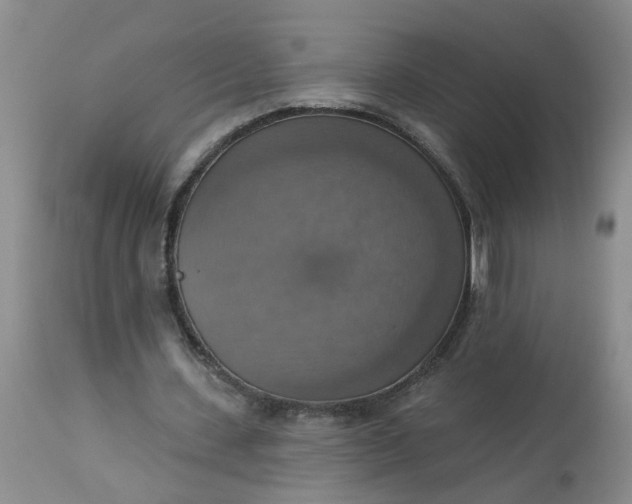 X0000113230531200910011411