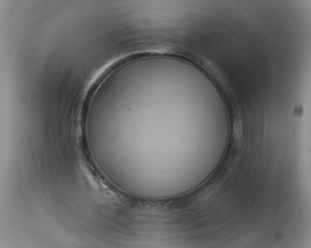 X0000113230532200910011411