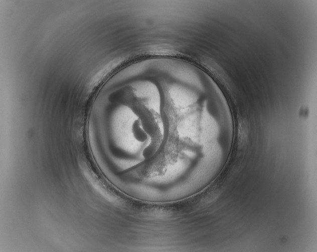 X0000113230533200910011411