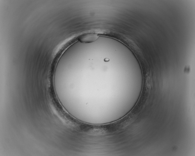 X0000113230536200910011411