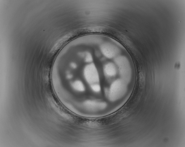 X0000113230537200910011411