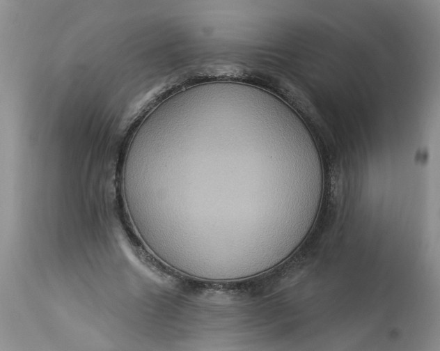 X0000113230538200910011411