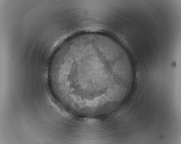 X0000113230539200910011411