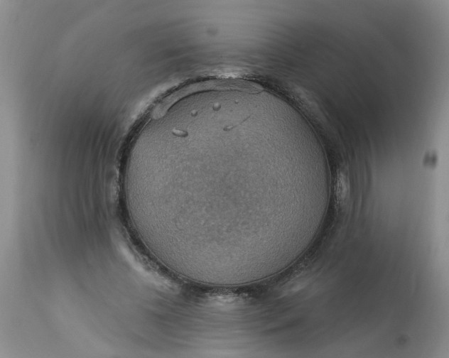 X0000113230540200910011412