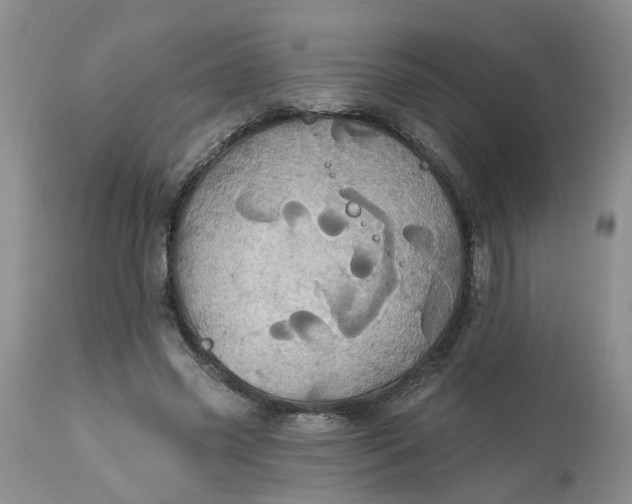 X0000113230541200910011412