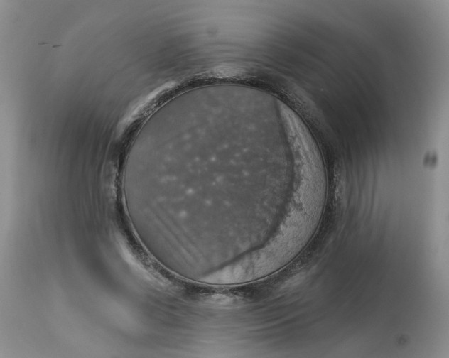 X0000113230542200910011412