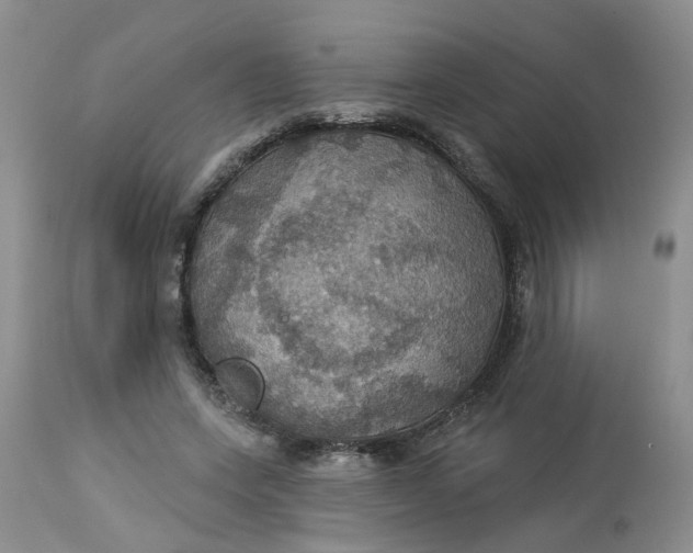 X0000113230543200910011412