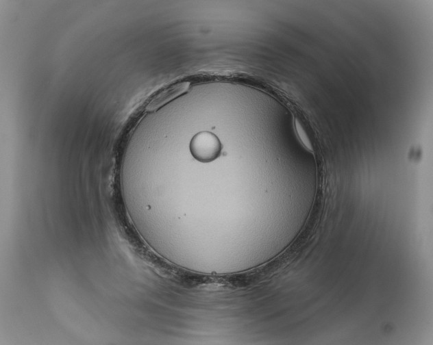 X0000113230544200910011412