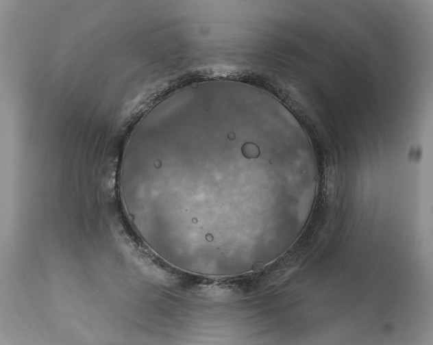 X0000113230545200910011412