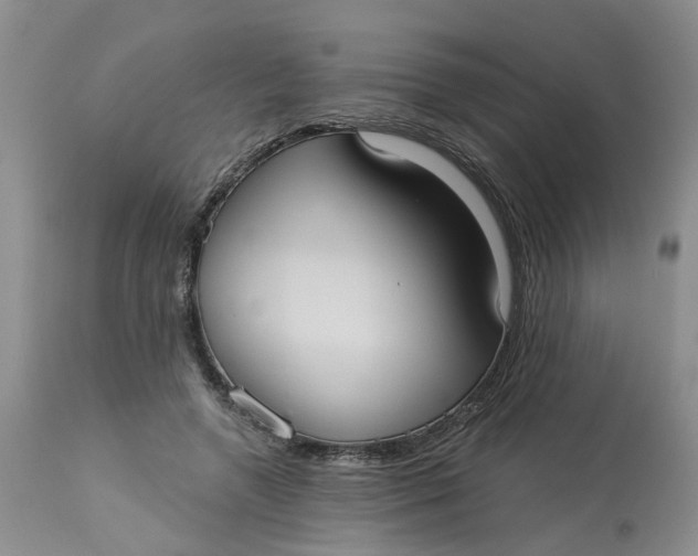 X0000113230546200910011412