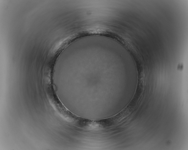 X0000113230547200910011412