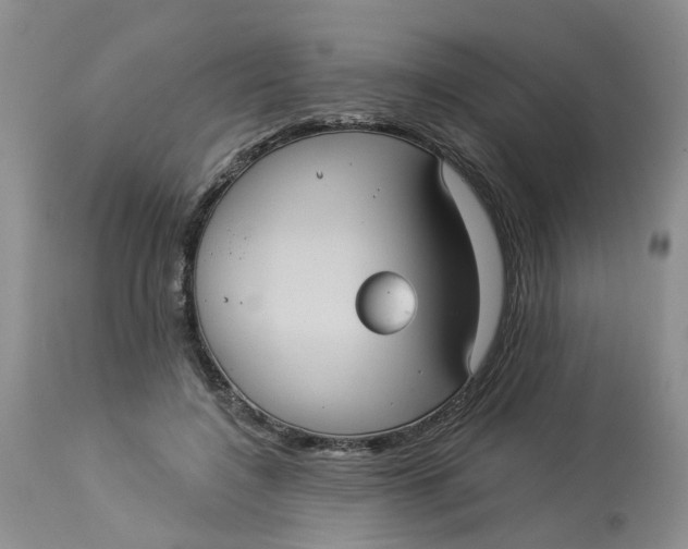 X0000113230548200910011412