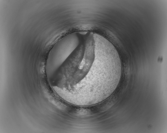 X0000113230549200910011412