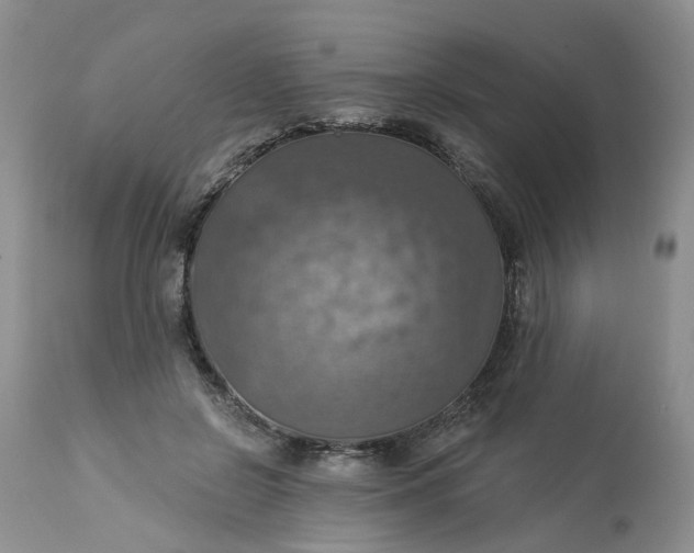 X0000113230550200910011412