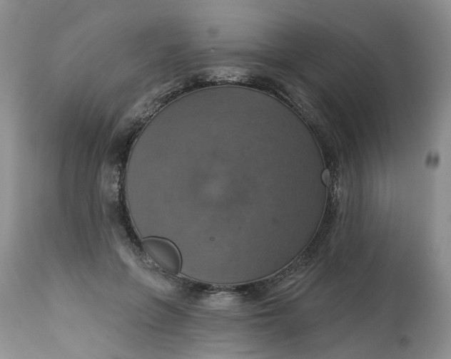 X0000113230551200910011412