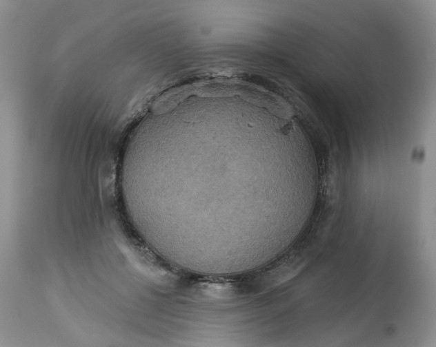 X0000113230552200910011412