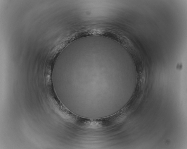 X0000113230553200910011412