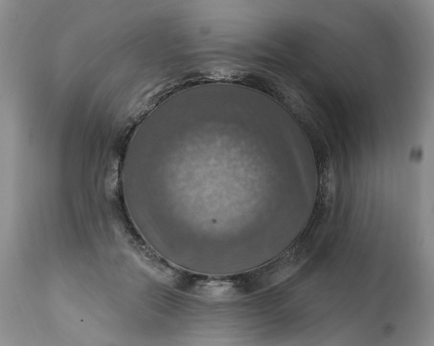 X0000113230554200910011412