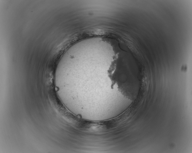 X0000113230555200910011412