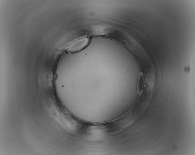 X0000113230556200910011412