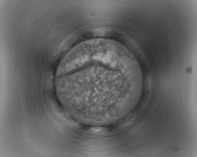 X0000113230557200910011412