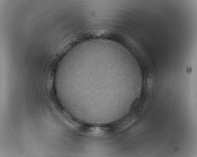 X0000113230558200910011412