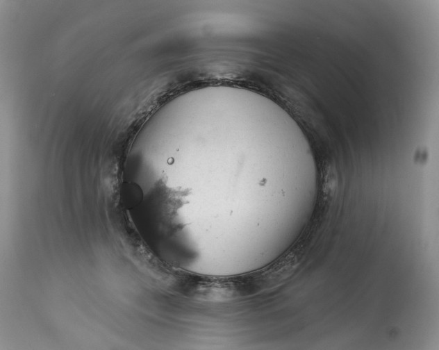 X0000113230559200910011412