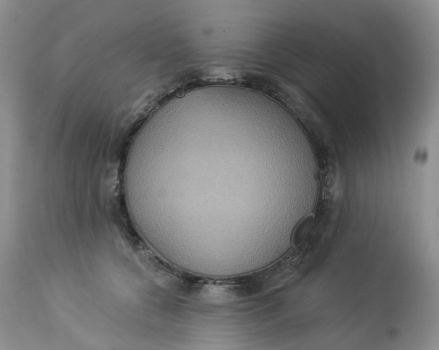 X0000113230560200910011412