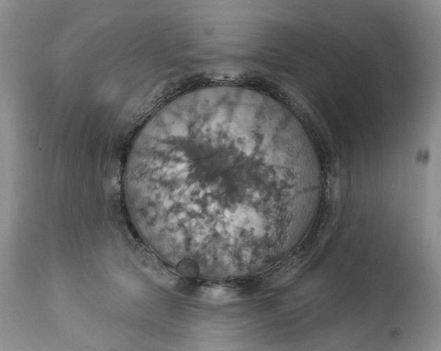 X0000113230561200910011412