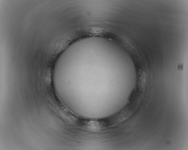 X0000113230562200910011412