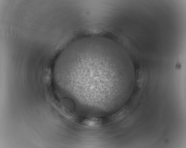 X0000113230563200910011412