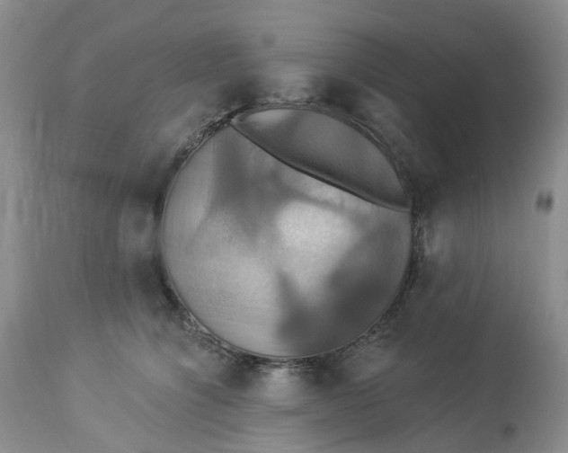 X0000113230564200910011412